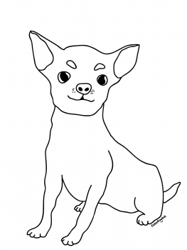 Coloring page of a chihuahua dog