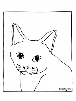 Coloring page of a European Shorthair cat