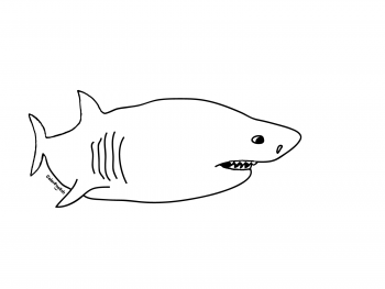 Coloring page of a great white shark
