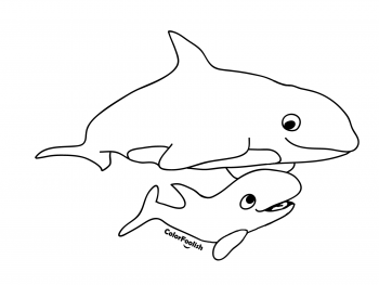 Coloring page of an orca with a young baby orca