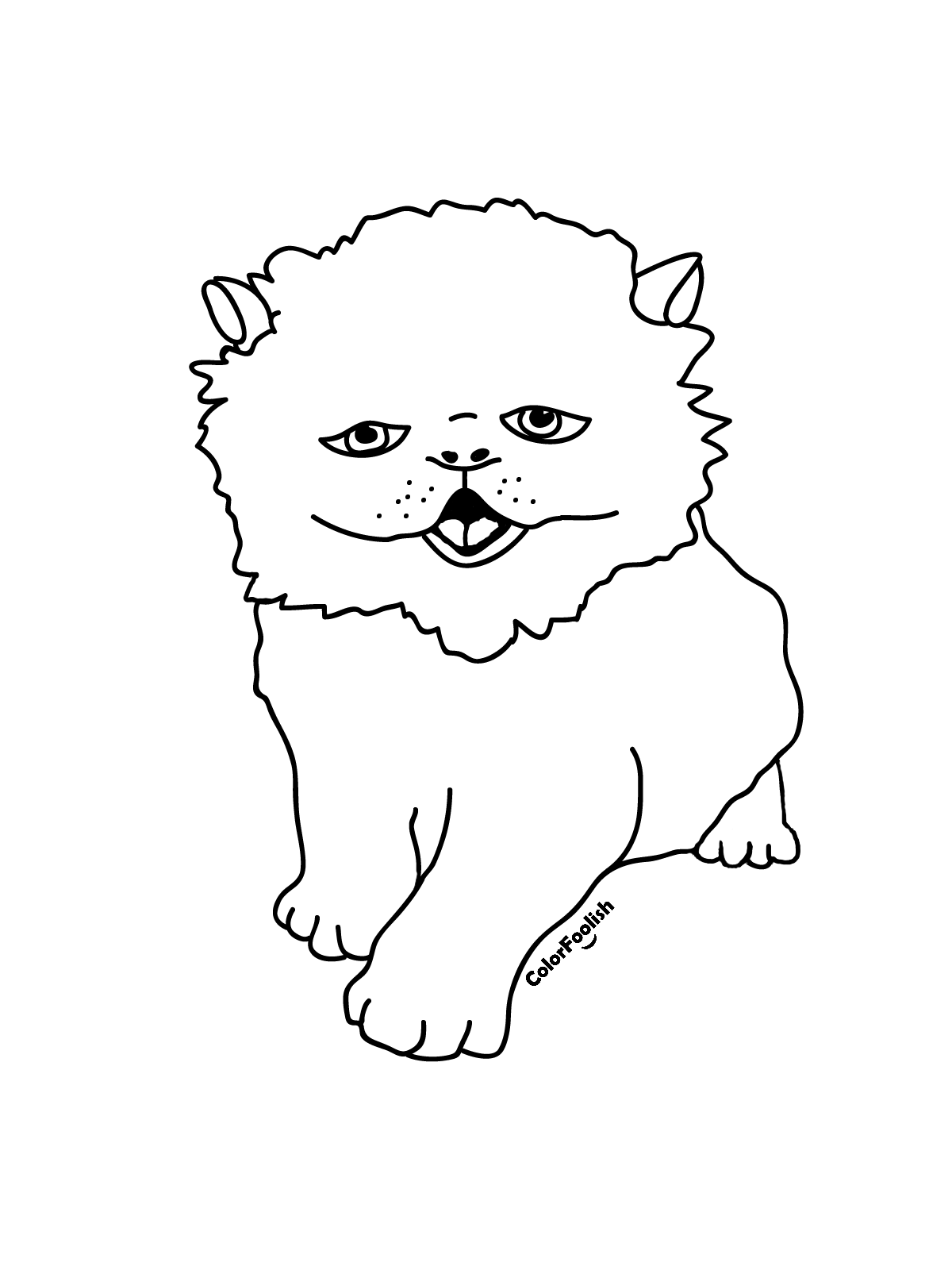 Coloring page of a Persian cat kitten