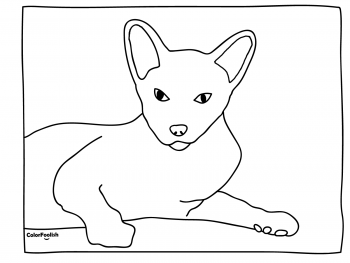 Coloring page of relaxing Siamese cat