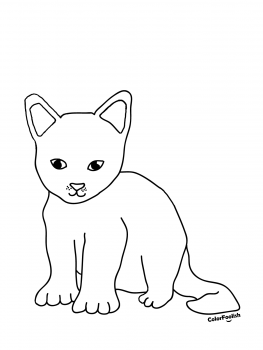 Coloring page of a sweet kitten