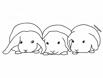 Coloring page of three sweet bunnies