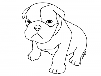 Coloring page of an angry boxer puppy