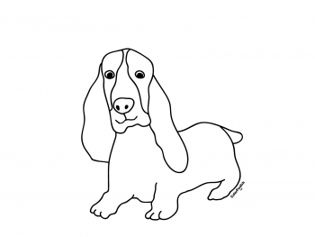 Coloring page of a basset hound