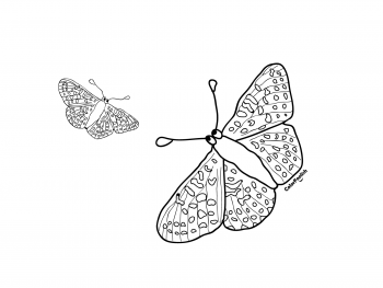 Coloriage avec deux papillons