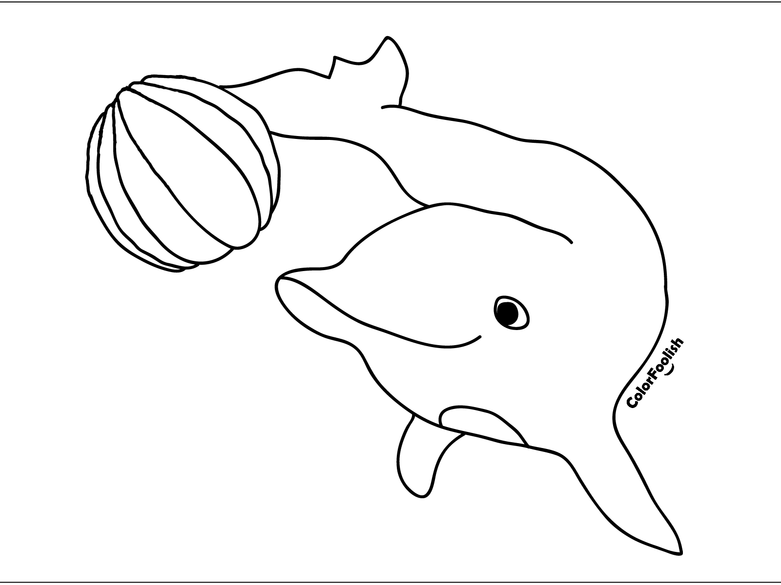 Målarbild av en delfin som spelar med en boll