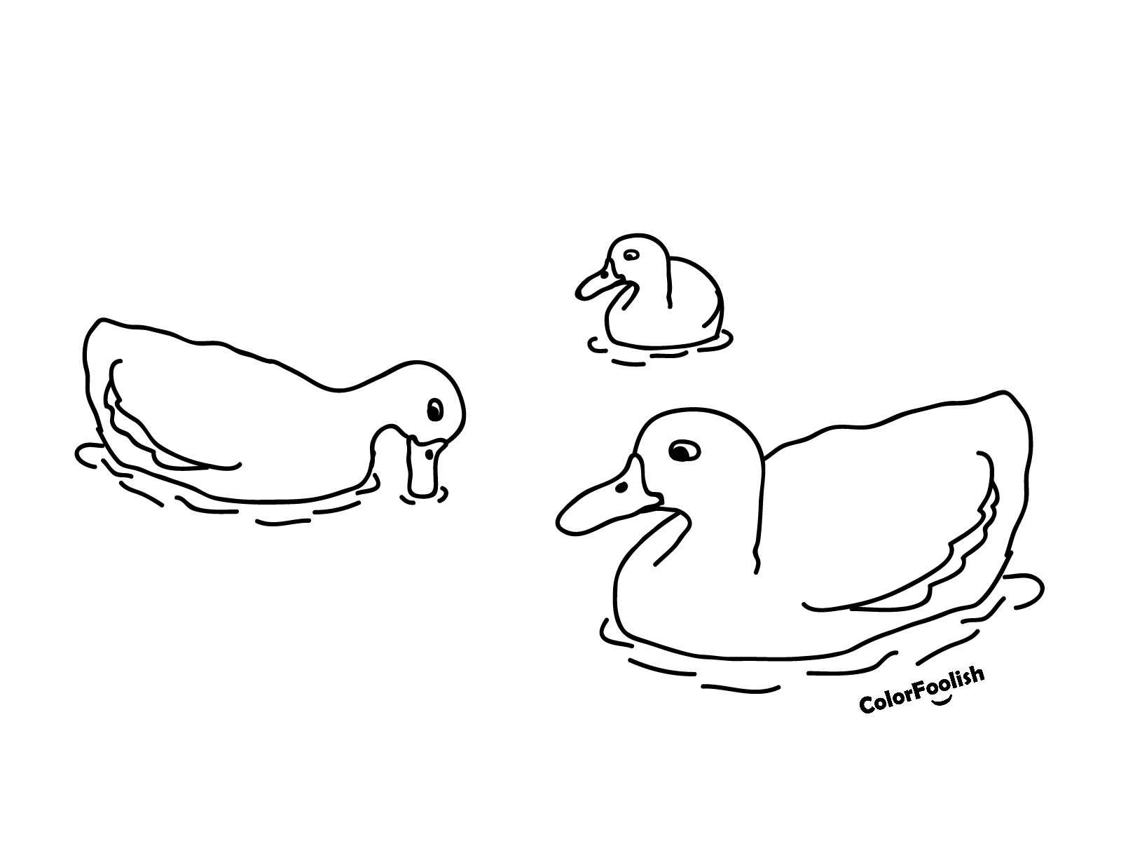 Coloring page of ducks in water