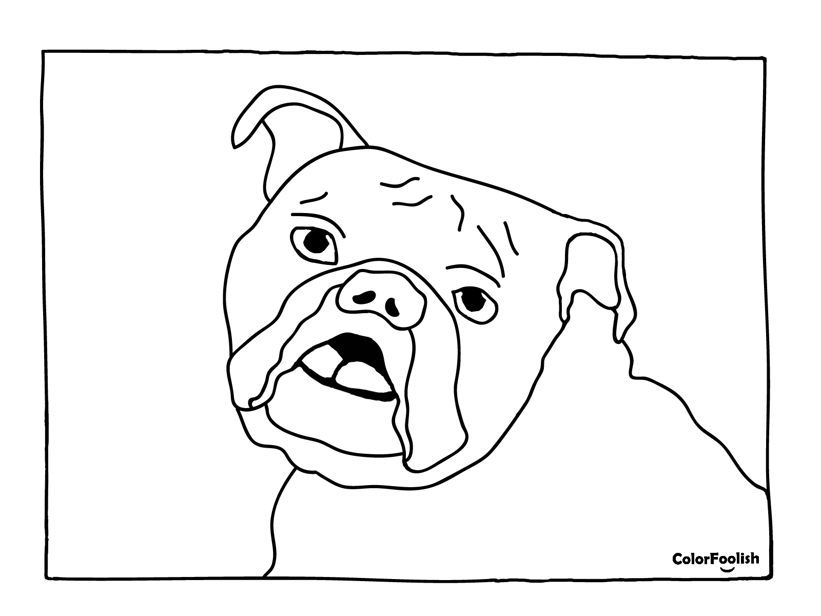 Pagina de colorat a unui bulldog englezesc cu gura deschisă