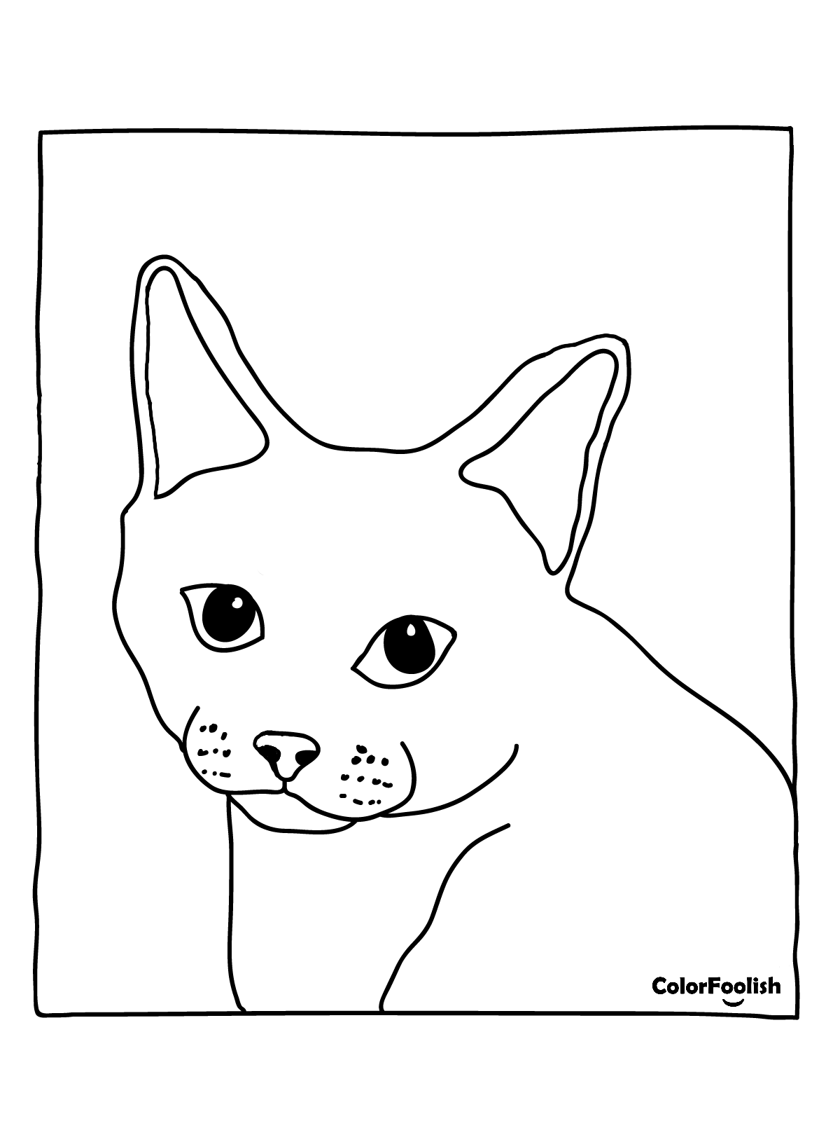 단발 유럽 고양이의 채색 페이지