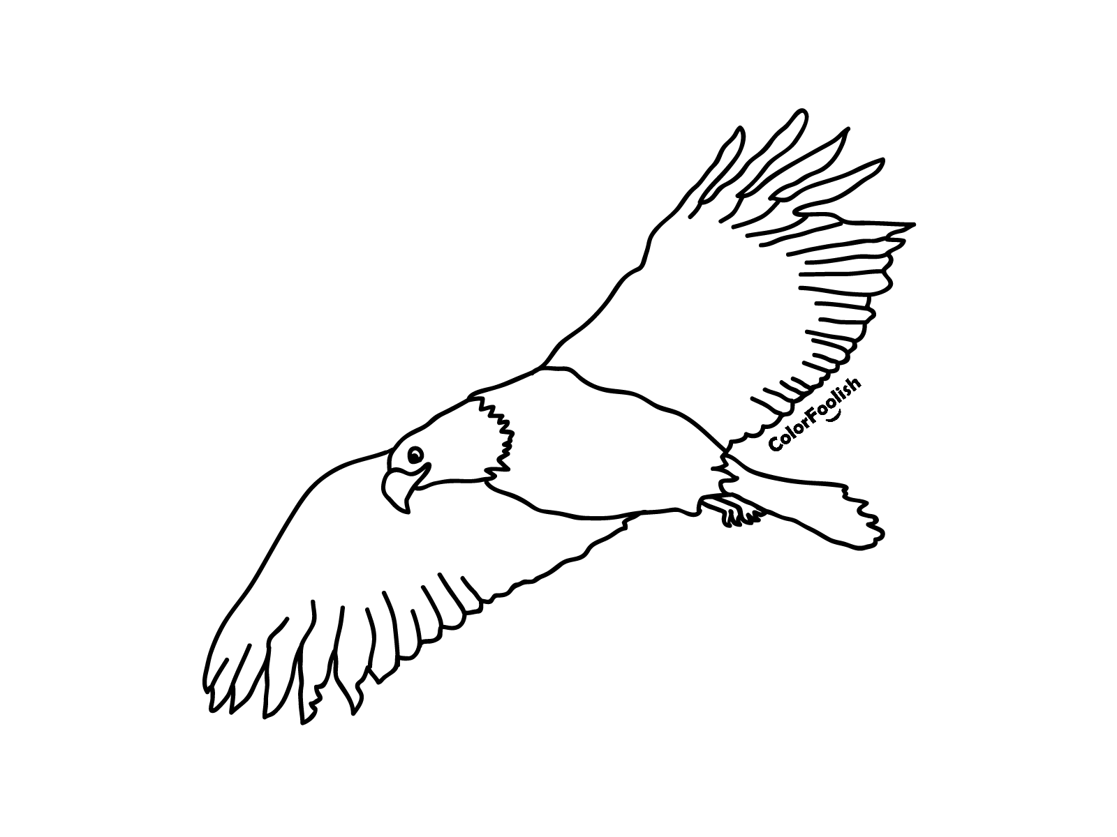 Coloring page of a flying eagle