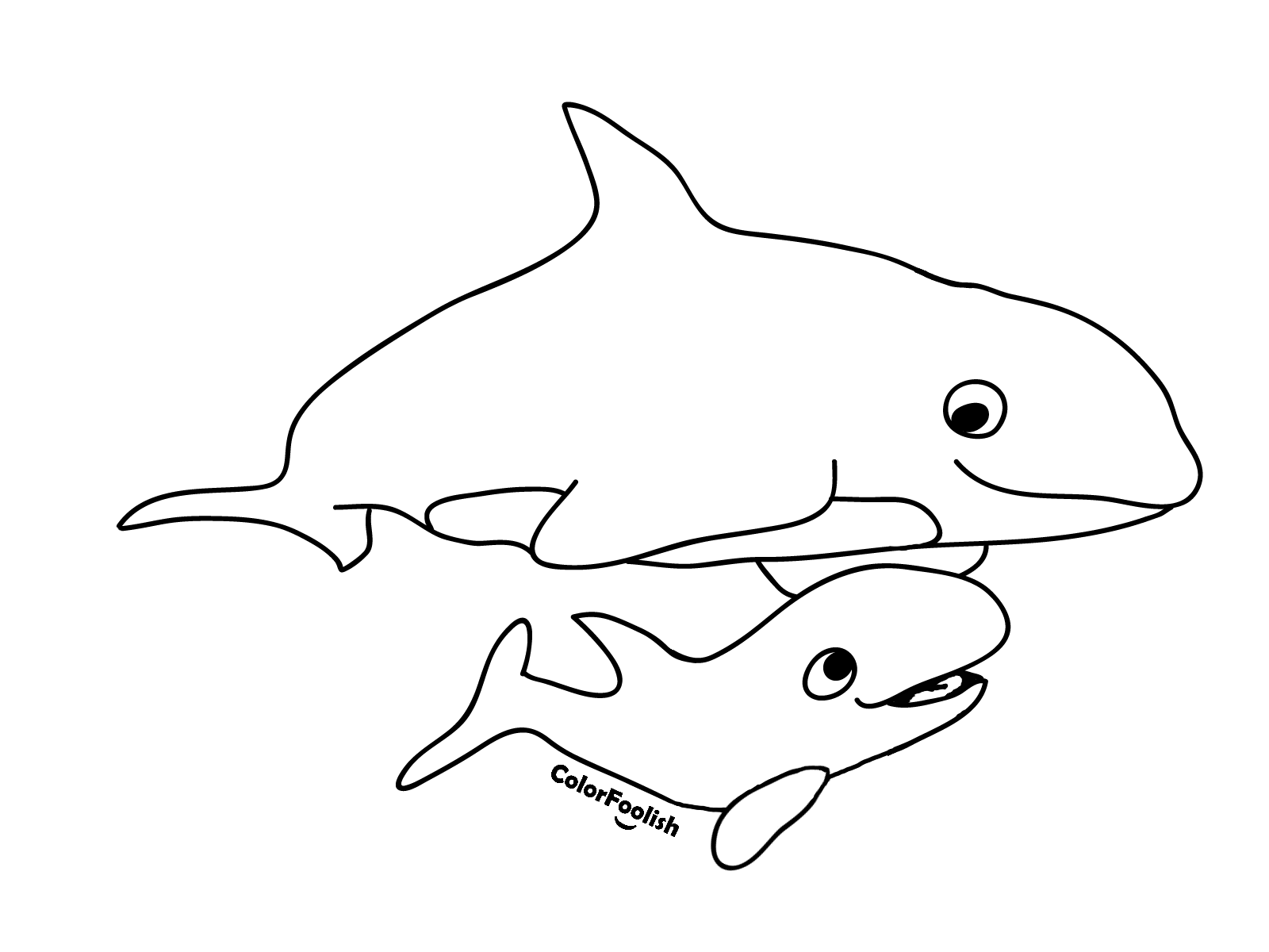 View Orca Coloring Page Pictures