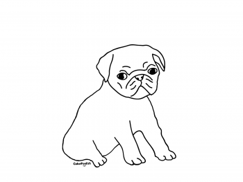 Coloring page of a pug puppy dog