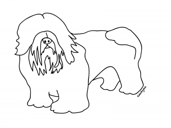 Coloring page of a puli dog