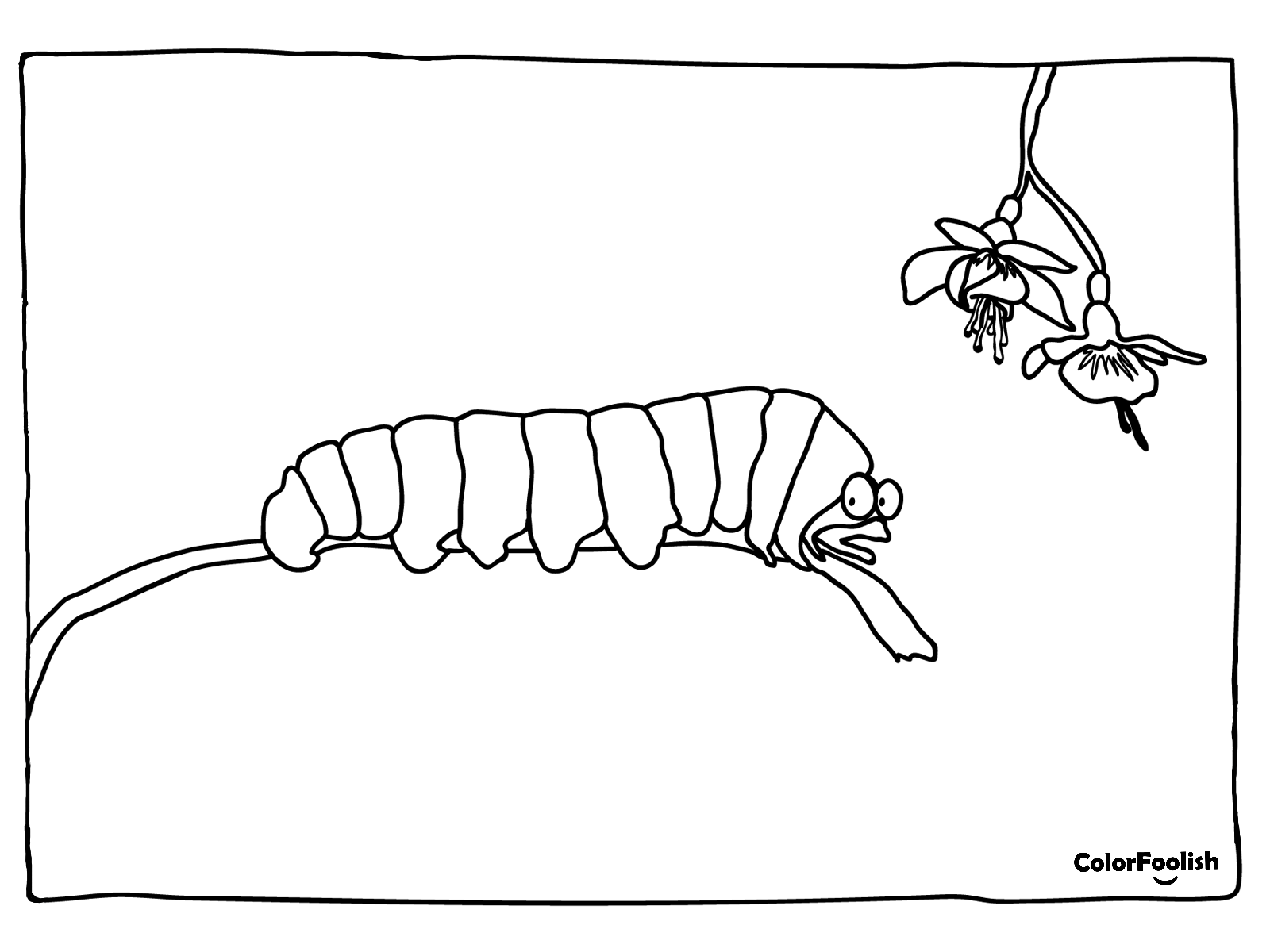 ໜ້າ ສີຂອງ caterpillar ຢູ່ສາຂາ