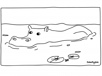 Coloring page of a swimming hippo
