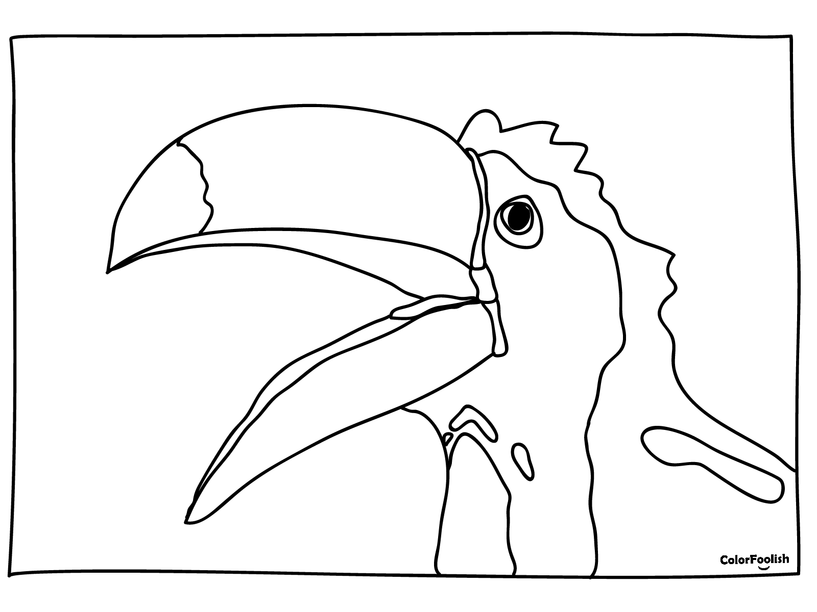 Stranica za bojanje ptice Toucan