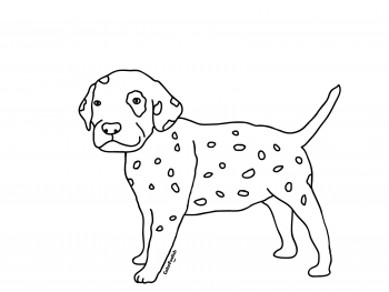 Coloring page of a young dalmatian dog